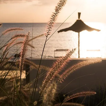 Calitro Mare 托雷奥沃