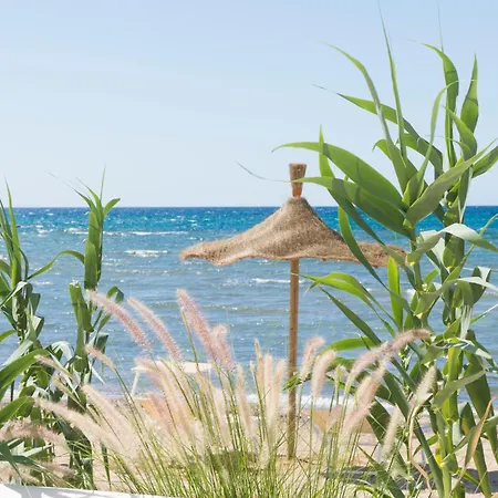 Calitro Mare
