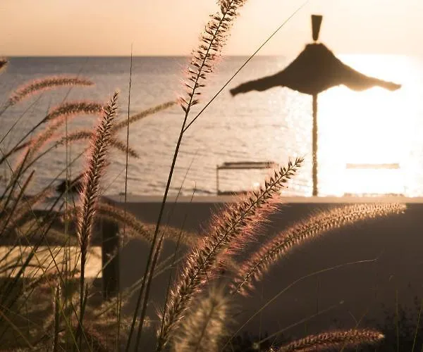 Calitro Mare トッレ・オヴォ